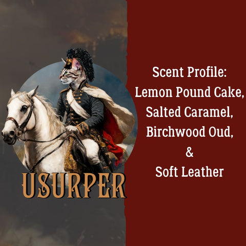 ⚔️Usurper-A Conqueror's Collection